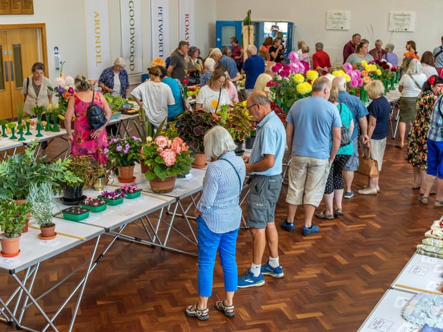 The very popular Purbrook Horticultural Society summer show. Picture: Mike Cooter (210822)