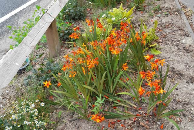 Raingardens are being built in Westborn Road, Southampton Road and Serpentine Road in Fareham as a way of slowing the rate of water getting into the sewage system, with extra underground storage