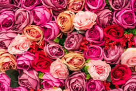 Portsmouth is ninth among the UK’s best areas for singles this Valentine’s Day