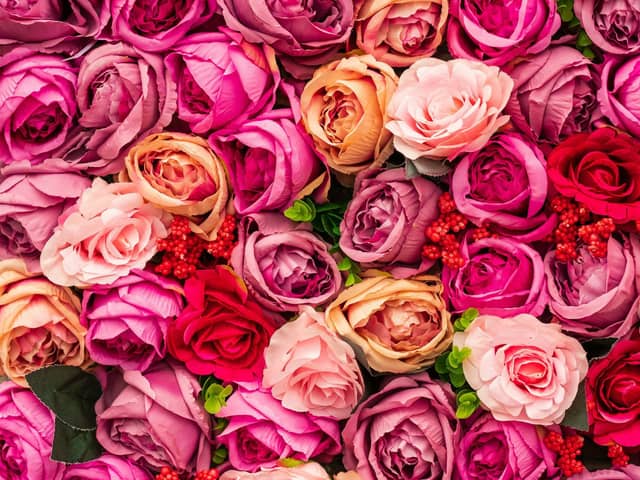 Portsmouth is ninth among the UK’s best areas for singles this Valentine’s Day