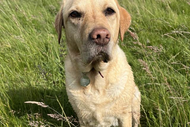 Summer had to have her tongue removed after a freak accident.