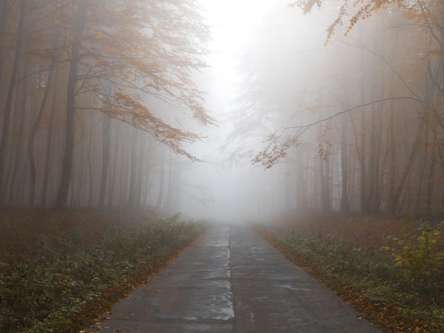 Autumn mornings are often quite rawky, or misty.