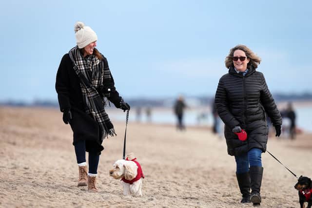 Dog walkers Kerry Vaughan-Carpenter, left, with Connie, and Tracey Fleming with Rocky on Southsea beach. Picture: Chris Moorhouse      (020121-08)
