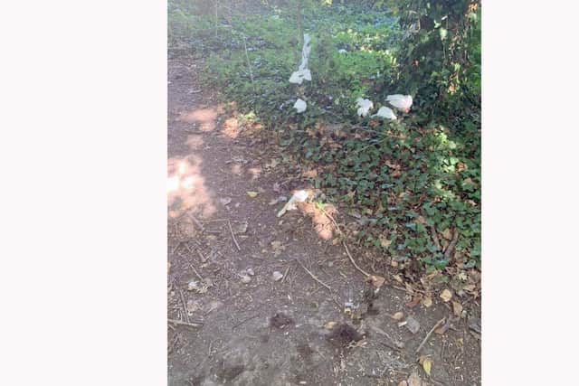 Human excrement was left in woods in Wicor Recreation Ground