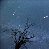 Taurid Meteor Shower 2026: 'Halloween fireballs' on the cards for stargazers - when and where to see them