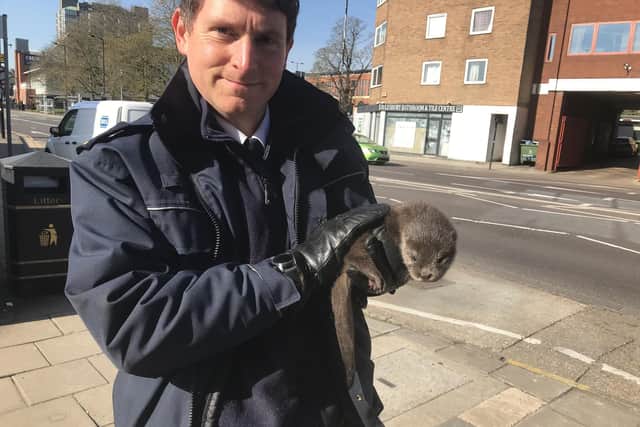 RSPCA frontline workers are helping animals in emergency situations throughout the coronavirus crisis