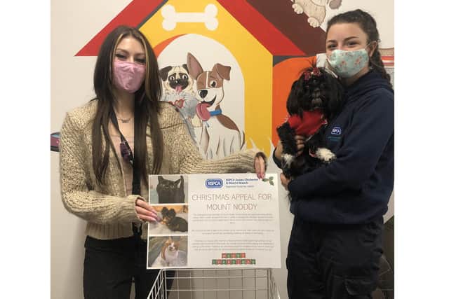 Mary Puppins Pet Pantry manager Holly Bastow with Georgia from the RSPCA and the donation trolley