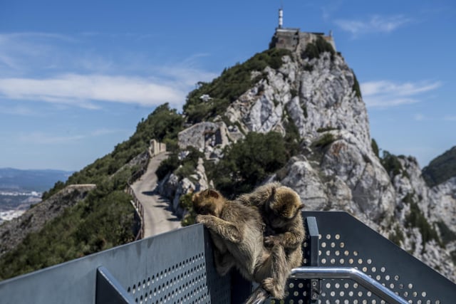 Visit the famous Gibraltar Rock this summer, with Eastern Airways flying direct to Gibraltar from Southampton Airways. (Photo by Carlos Gil/Getty Images)