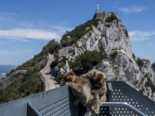 Visit the famous Gibraltar Rock this summer, with Eastern Airways flying direct to Gibraltar from Southampton Airways. (Photo by Carlos Gil/Getty Images)