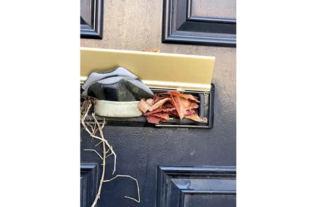 Rubbish dumped on Hemin Ahmed's doorstep and bacon posted through letterbox.