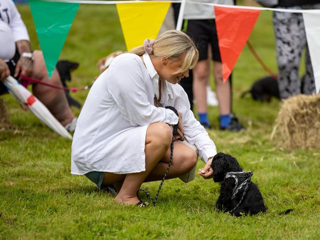 Contestants assemble for the cutest puppy competition at the Denmead Fun Dog Show. Picture: Mike Cooter (210724)