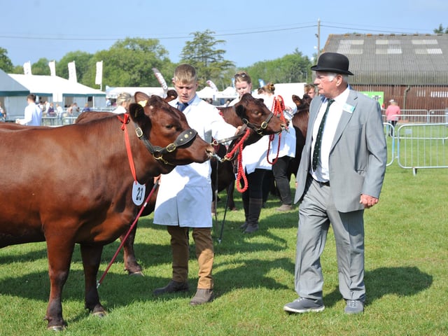 The best animals were judged at the show.