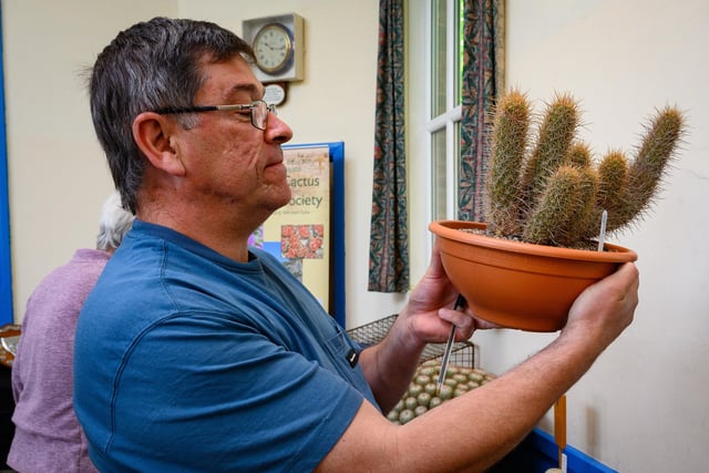 Pictured is: Les Hewitt, who is one of the judges at the show examines a cacti.

Picture: Keith Woodland (030621-9)