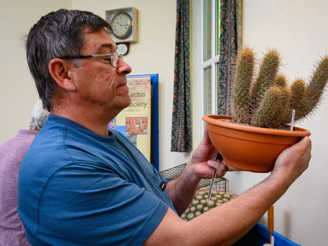 Pictured is: Les Hewitt, who is one of the judges at the show examines a cacti.Picture: Keith Woodland (030621-9)