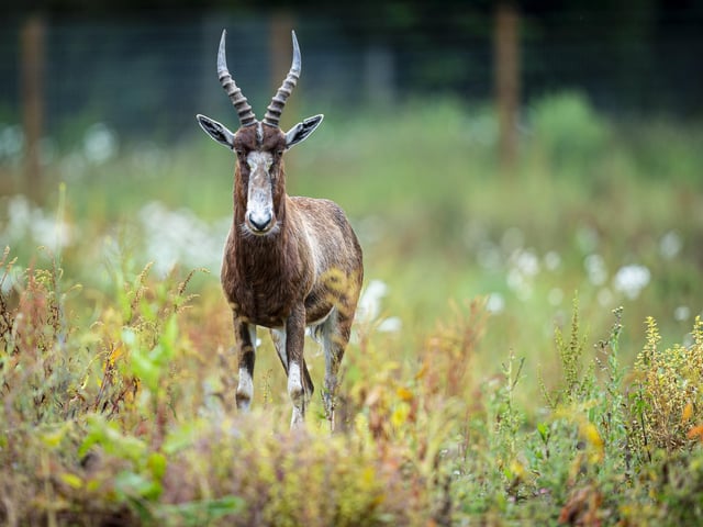 Marwell Zoo is definitely a place to visit if you love nature and animals.