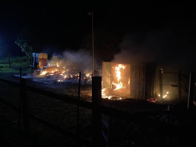 The fire at a stables in Warsash last night. Photo: Karl Manners