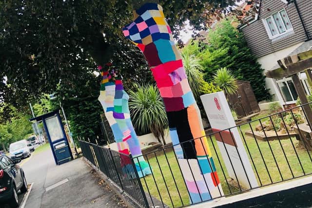 Residents at Alexandra Rose care home in Farlington have been creating 'yarn bombs' to cover trees in the garden during lockdown. Pictured: Yarn creations on the trees