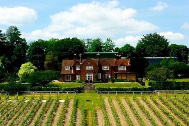 Established in 1952 by Major-General Sir Guy Salisbury-Jones, Hambledon Vineyard on East Street is England's Oldest Commercial Vineyard. Pic Hambledon Vineyard