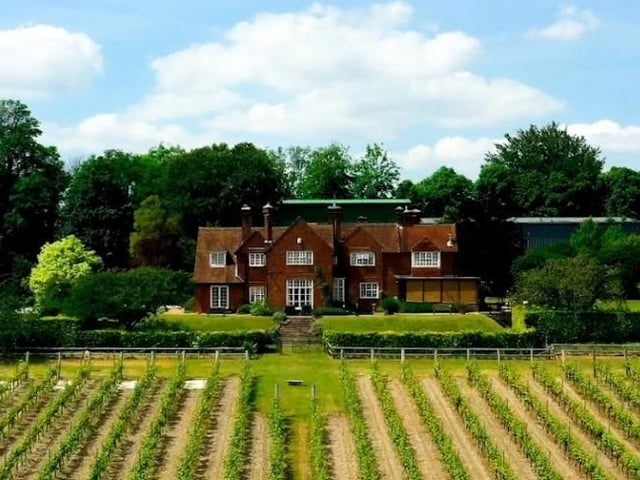 Established in 1952 by Major-General Sir Guy Salisbury-Jones, Hambledon Vineyard on East Street is England's Oldest Commercial Vineyard. Pic Hambledon Vineyard