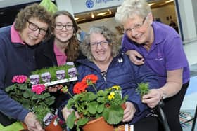Gardeners at the launch of Fareham in Bloom competition in 2019. Picture: Ian Hargreaves