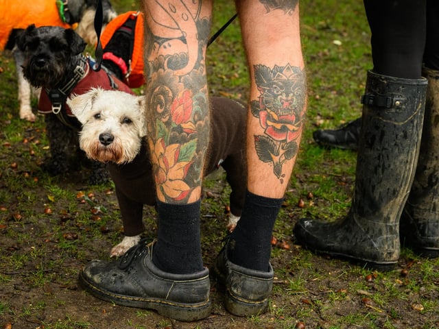 Pictured is: A Schnauzer hides behind his owners legs.Picture: Keith Woodland (291021-26)