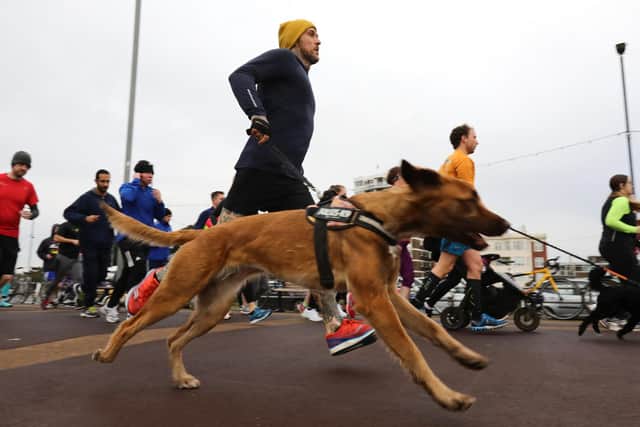 A dog's life - canines enjoy parkruns too! Picture: Chris Moorhouse