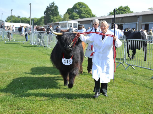 The South of England Show 2023.