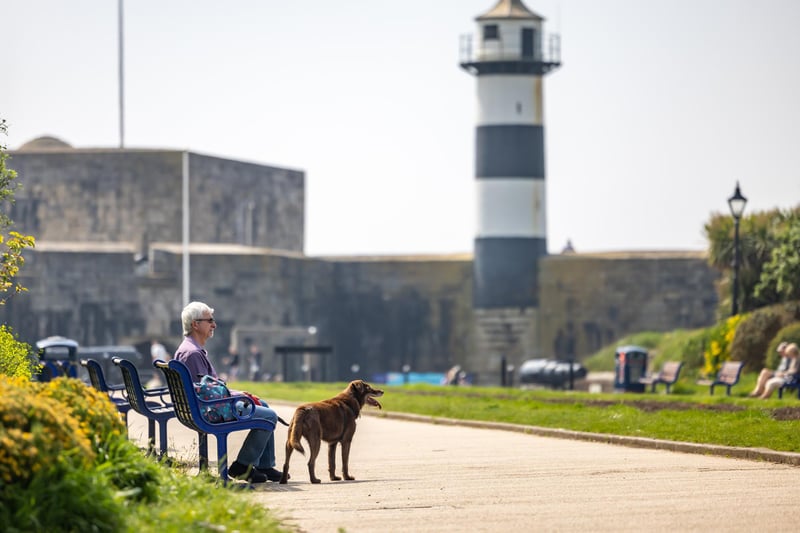 Taking a brief break from dog walking duty at Southsea Castle. Picture: Mike Cooter (110524)