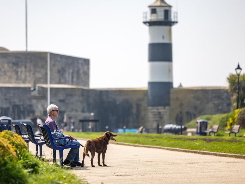Taking a brief break from dog walking duty at Southsea Castle. Picture: Mike Cooter (110524)