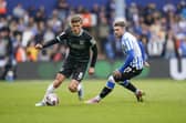 Freddie Potts in possession for Pompey against Sheffield Wednesday. Picture: Jason Brown/ProSportsImages