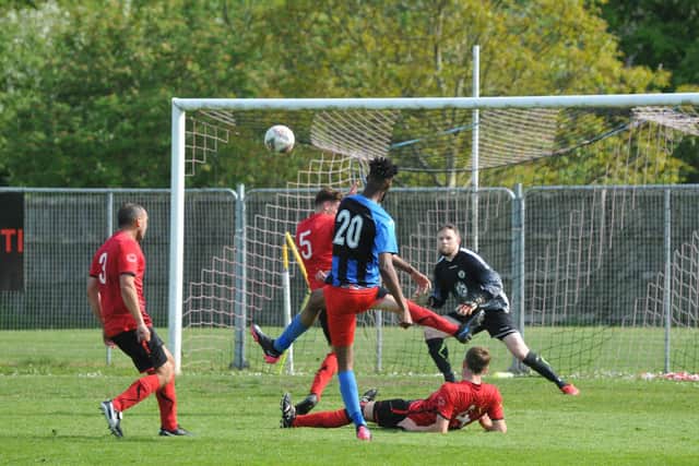 Sway on the attack. Picture by Ian Grainger.