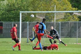 Sway on the attack. Picture by Ian Grainger.