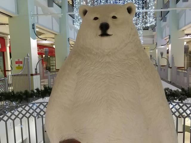 The polar bear at Havant's Meridian Shopping Centre 