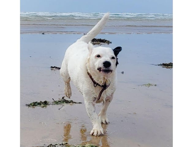 This picture of Walter is absolutely adorable. Thank you Emma Parkes for sharing.
