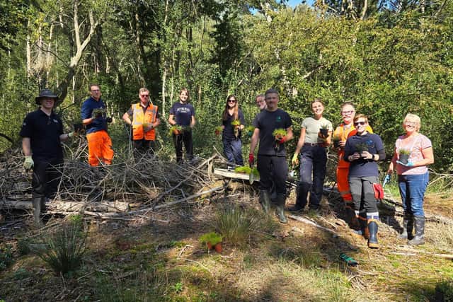 Volunteer plant more than 380 wetland plants
