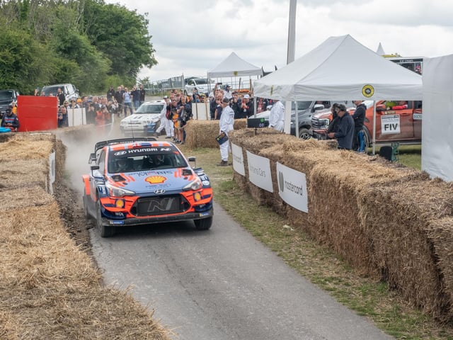 Petrolheads flocked to the motoring festival which saw countless amounts of supercars and other vehicles.