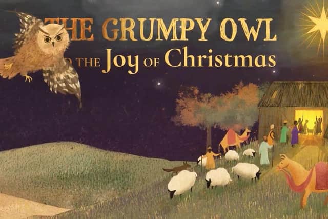 The play 'Amos and the Grumpy Owl' has also been turned into this book