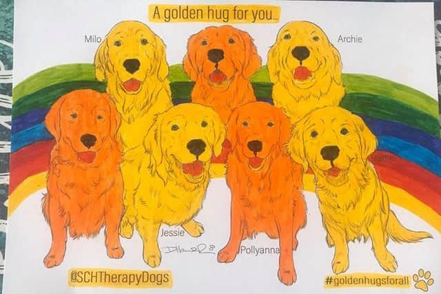 Therapy dogs from Southampton Childrens Hospital are spreading important health information and engaging children in a colouring campaign while they cannot visit wards. Pictured: Finished drawing by a young patient called Ellie
