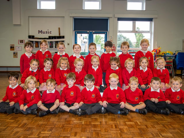 Dragonflies Class Photo by Alex Shute