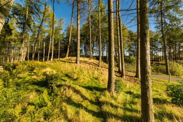 The woodland sits to the south of the house and provides a habitat for wildlife including pheasants and red squirrels, as well as beautiful walks with views over the neighbouring countryside.
