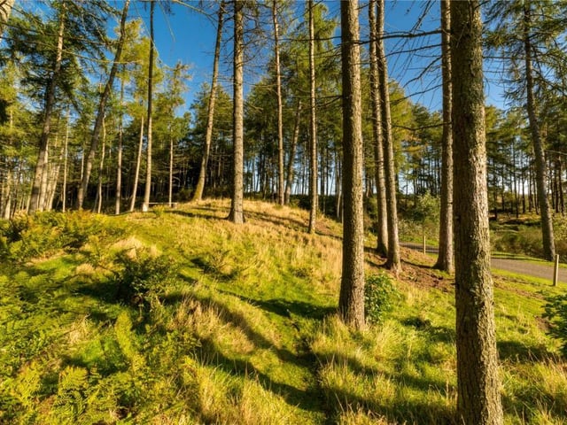 The woodland sits to the south of the house and provides a habitat for wildlife including pheasants and red squirrels, as well as beautiful walks with views over the neighbouring countryside.