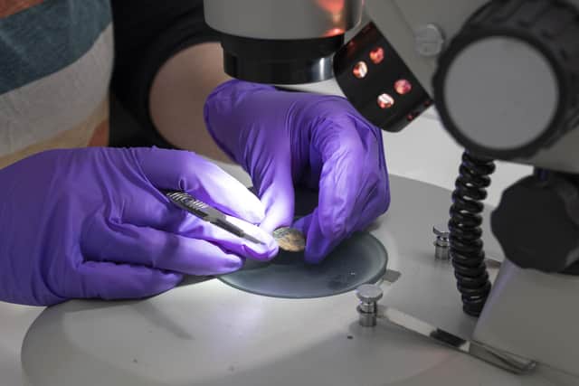 Conservationists examine the coin which was found under the mast of HMS Victory. Photo: National Museum of the Royal Navy/PA Wire