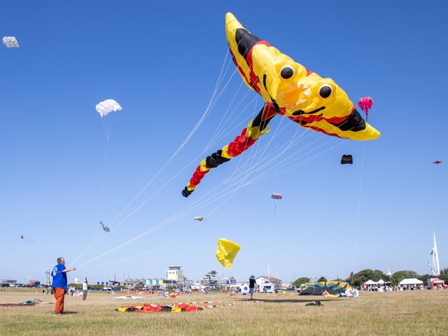 Pictured - Incredible kites on display at the Portsmouth Kite FestivalPhotos by Alex Shute