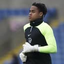 Spurs signing Josh Oluwayemi is leaving Pompey on loan. Picture: Jason Brown.