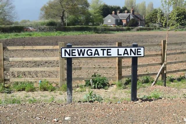 Newgate Lane. Picture: David George