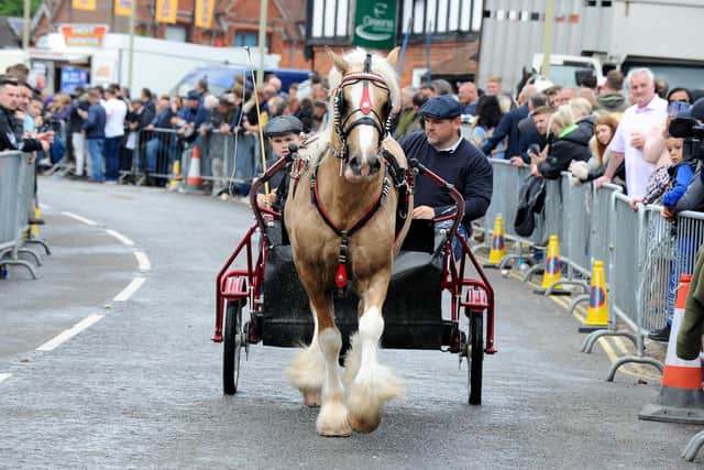 The annual Wickham Horse Fair took place on Friday, May 20, in Wickham Square and along Winchester Road, Wickham.
Picture: Sarah Standing (200522-5915)