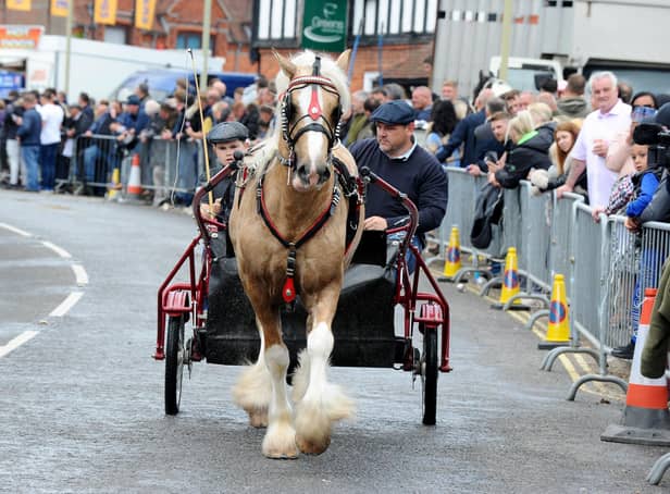 The annual Wickham Horse Fair took place on Friday, May 20, in Wickham Square and along Winchester Road, Wickham.Picture: Sarah Standing (200522-5915)