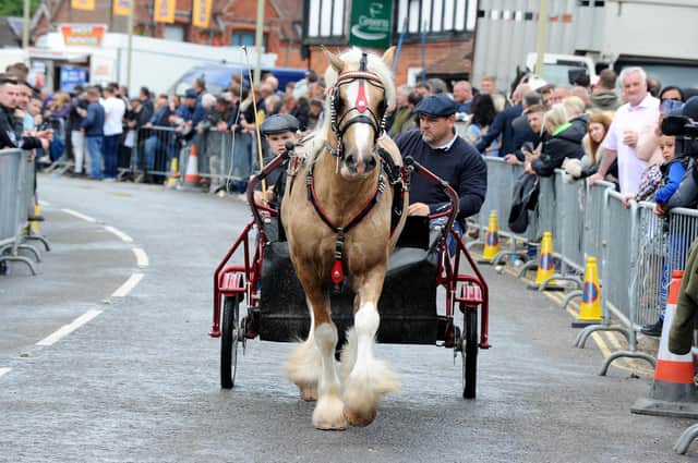 The annual Wickham Horse Fair took place on Friday, May 20, in Wickham Square and along Winchester Road, Wickham.
Picture: Sarah Standing (200522-5915)