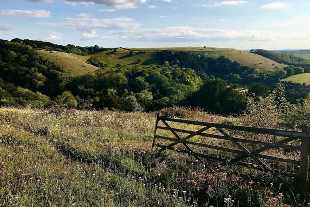 Old Winchester Hill in the South Downs National Park