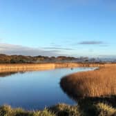 Titchfield Haven National Nature Reserve, Hill Head, taken by Colin Grice